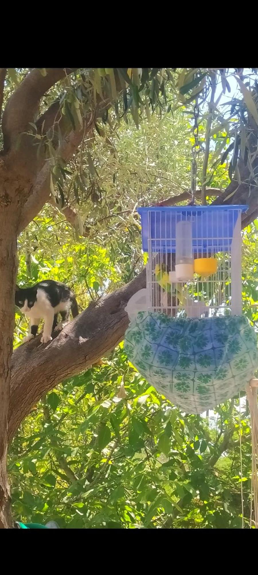 View Διαμερισμα Villa Loukissia Eksteriør bilde