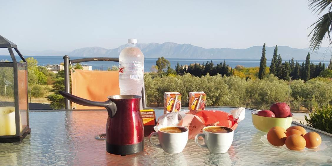 View Διαμερισμα Villa Loukissia Eksteriør bilde